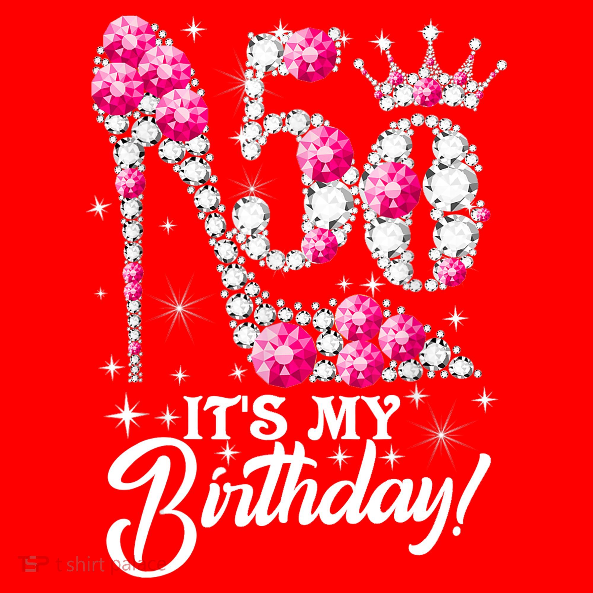 50 Years Old It's My 50th Birthday Funny Pink Diamond Shoes Santa Hat