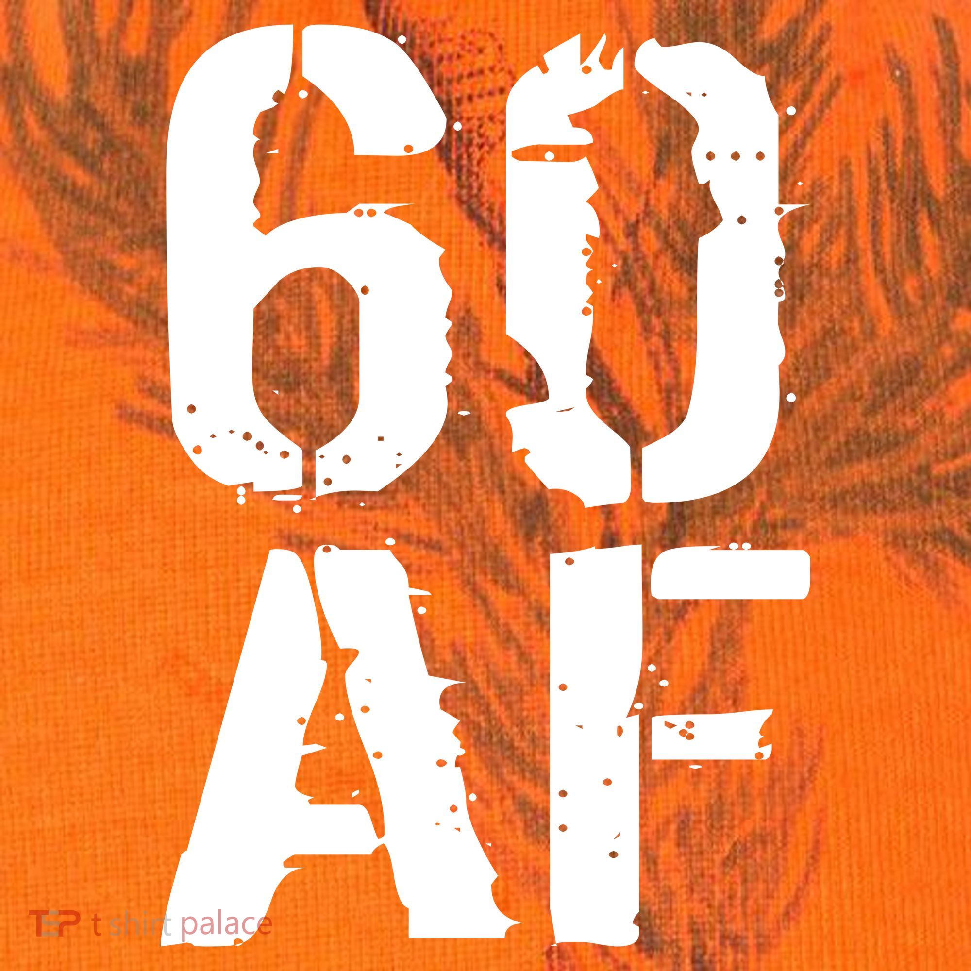 60 AF 60th Birthday Kati Licensed 12" Camo Cuffed Beanie