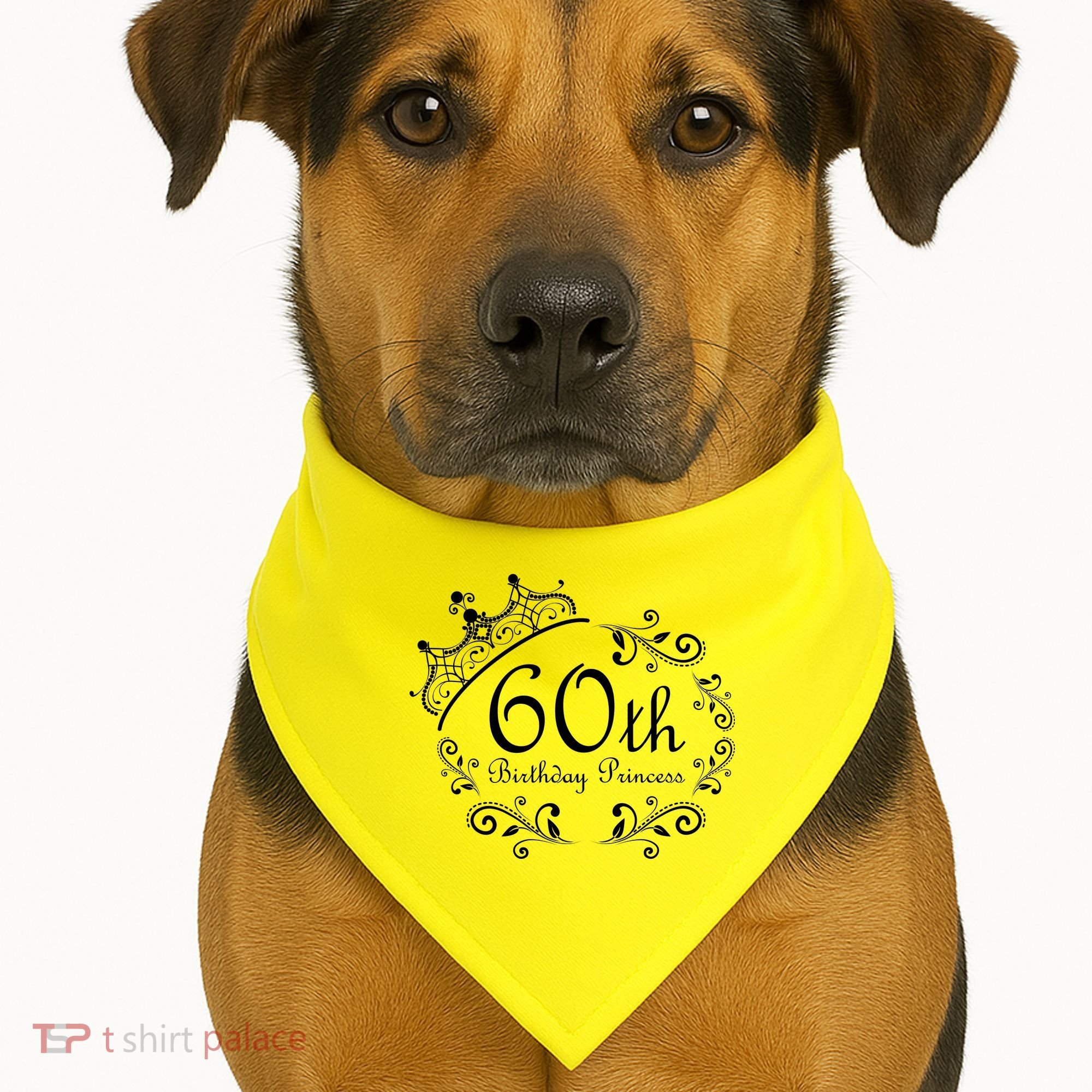 60th Birthday Princess USA-Made Doggie Bandana