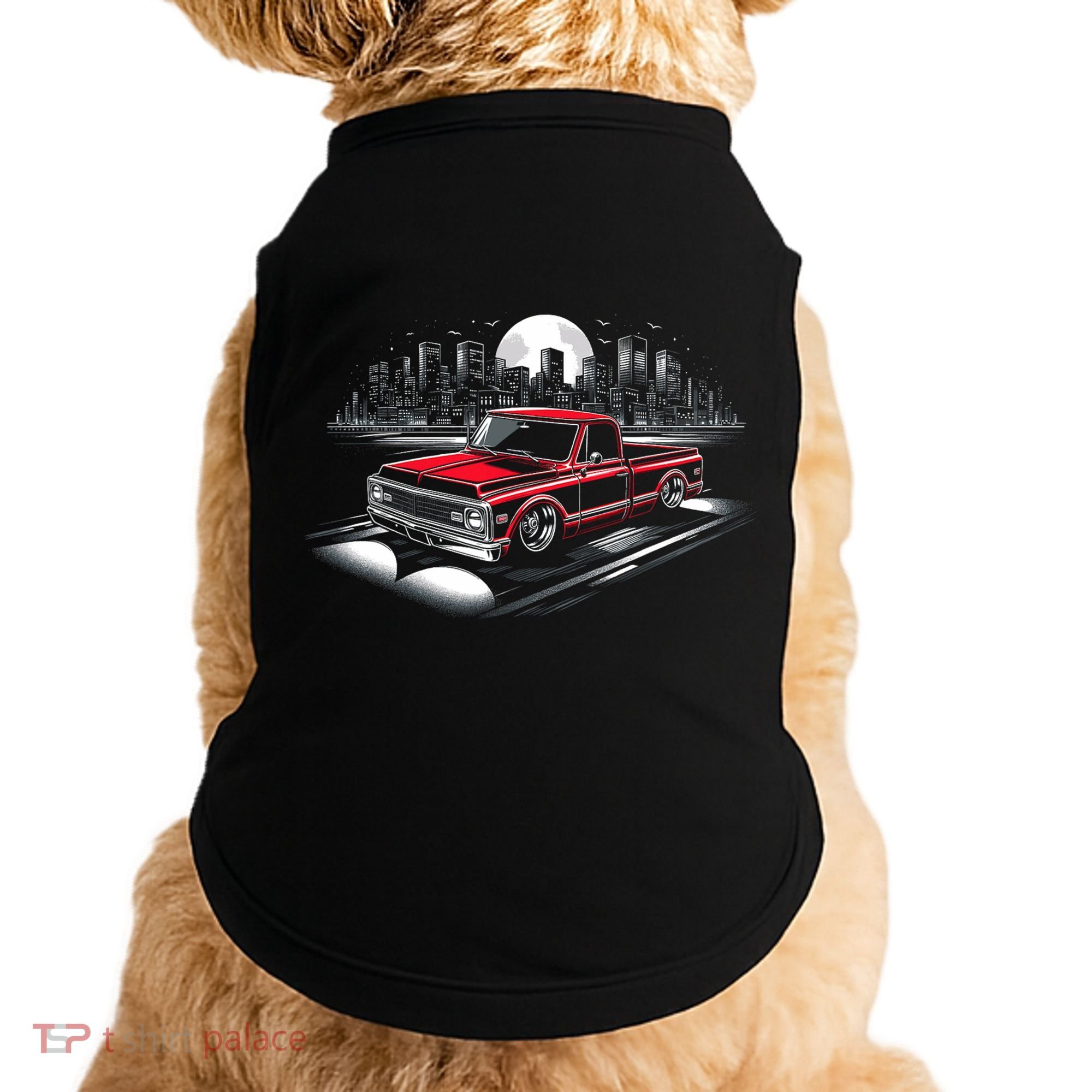 67 72 Classic C10 Pickup Truck Slammed Lowered Airride Doggie Tank