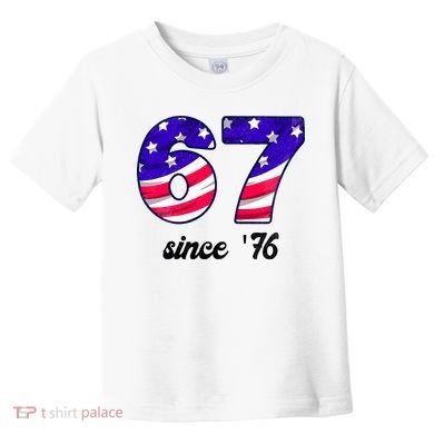 67 American Flag Vintage Meme 6-7 Meme Toddler T-Shirt