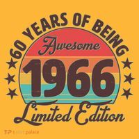 60th Birthday 60 Years Of Being Awesome 1966 Limited Edition T-Shirt thumb 7