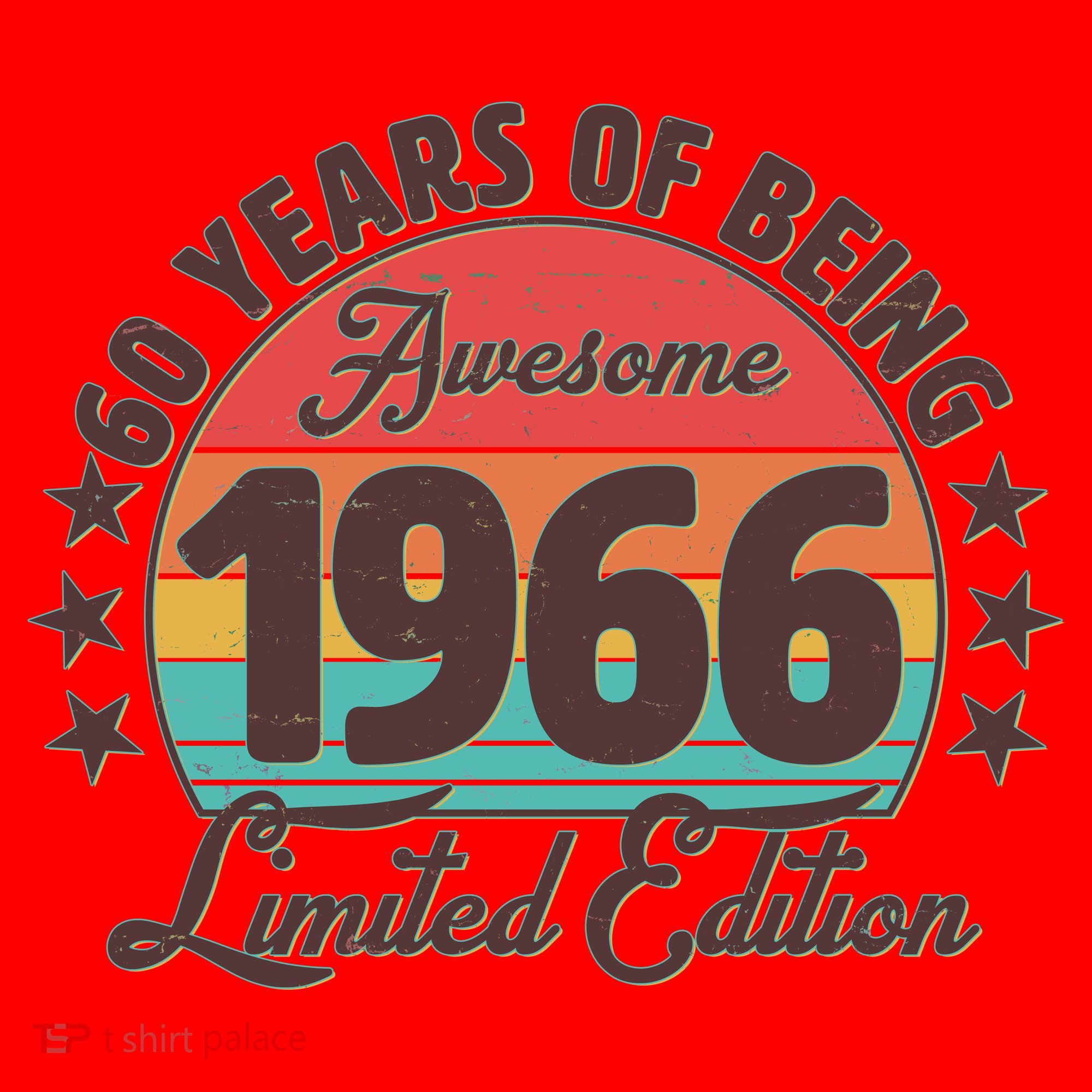 60th Birthday 60 Years Of Being Awesome 1966 Limited Edition Santa Hat