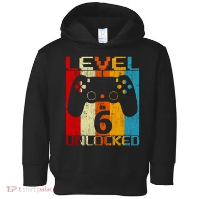6th Birthday Toddler Hoodie
