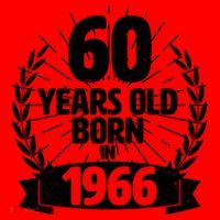 60th Birthday 60 Years Old Born In 1966 Wreath Banner  Santa Hat thumb 1