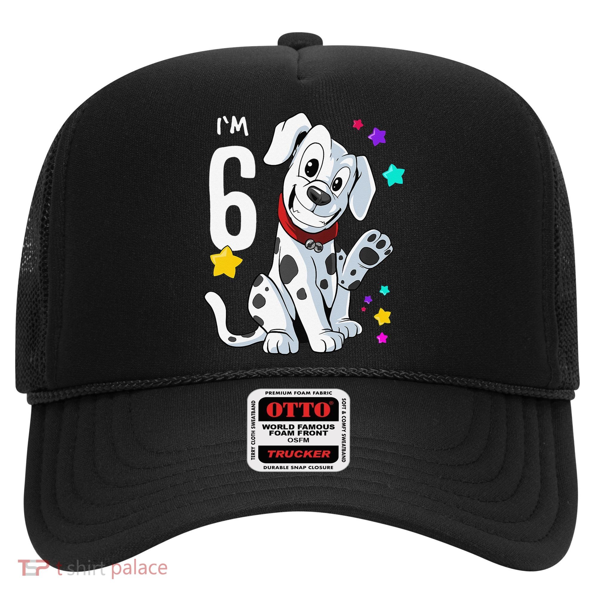 6th Birthday 6 Year Old Dalmatian Hat