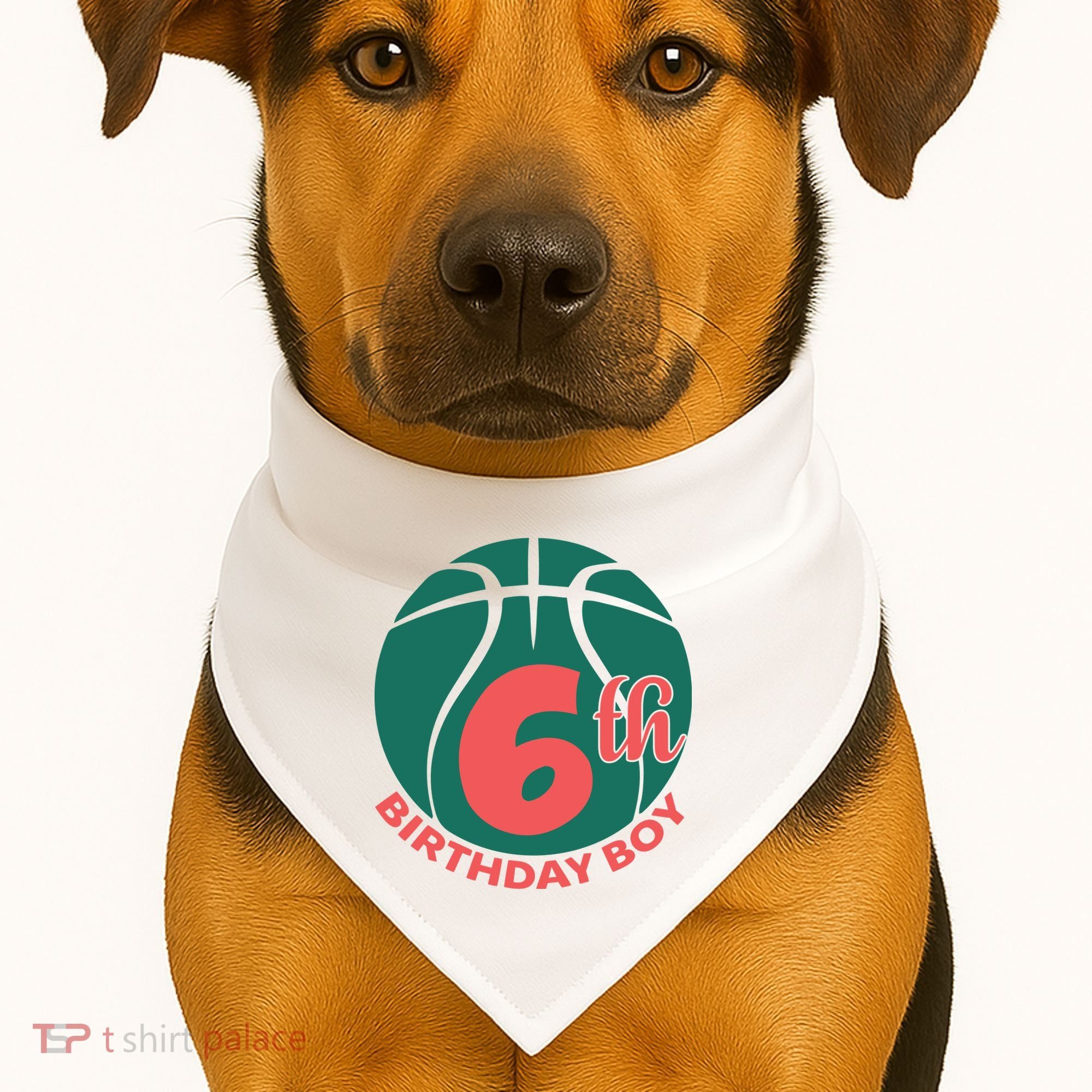 6th Birthday Boy Gift For Birthday USA-Made Doggie Bandana