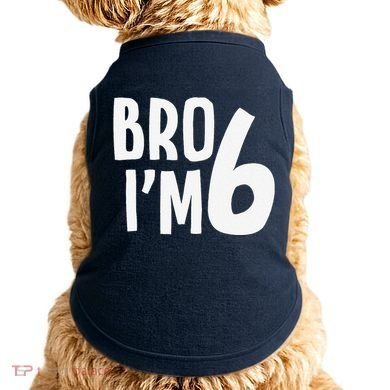 6th Birthday Boy Bro I’M 6 Year Old Six Bday Doggie Tank