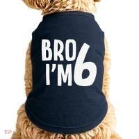 6th Birthday Boy Bro I’M 6 Year Old Six Bday Doggie Tank thumb 0