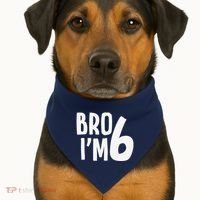 6th Birthday Boy Bro I’M 6 Year Old Six Bday USA-Made Doggie Bandana thumb 1