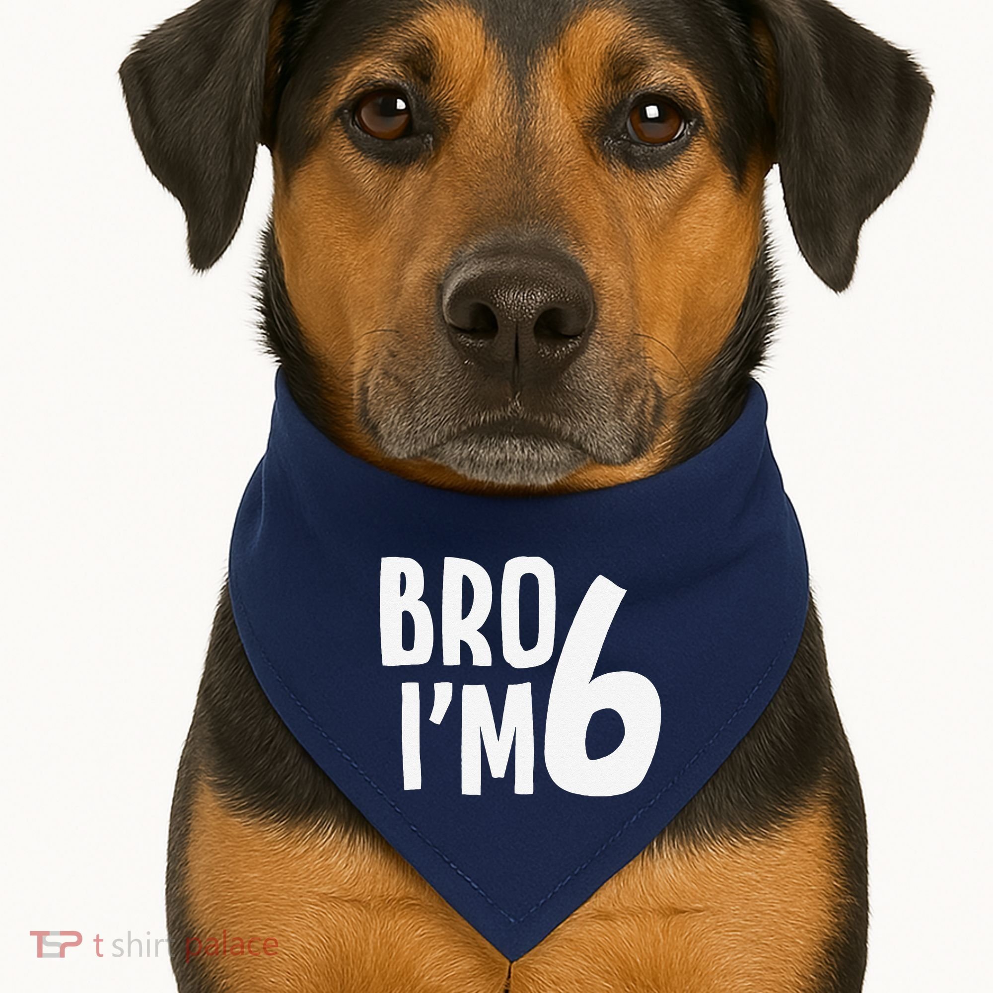 6th Birthday Boy Bro I’M 6 Year Old Six Bday USA-Made Doggie Bandana