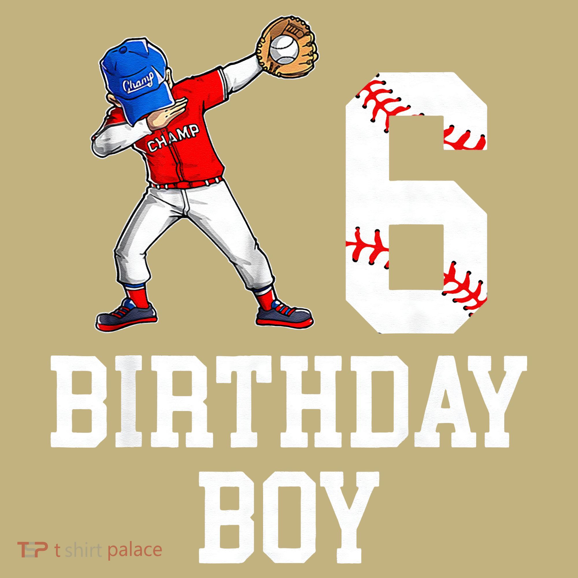 6th Birthday Baseball Big Number Six 6 Year Old Gift T-Shirt