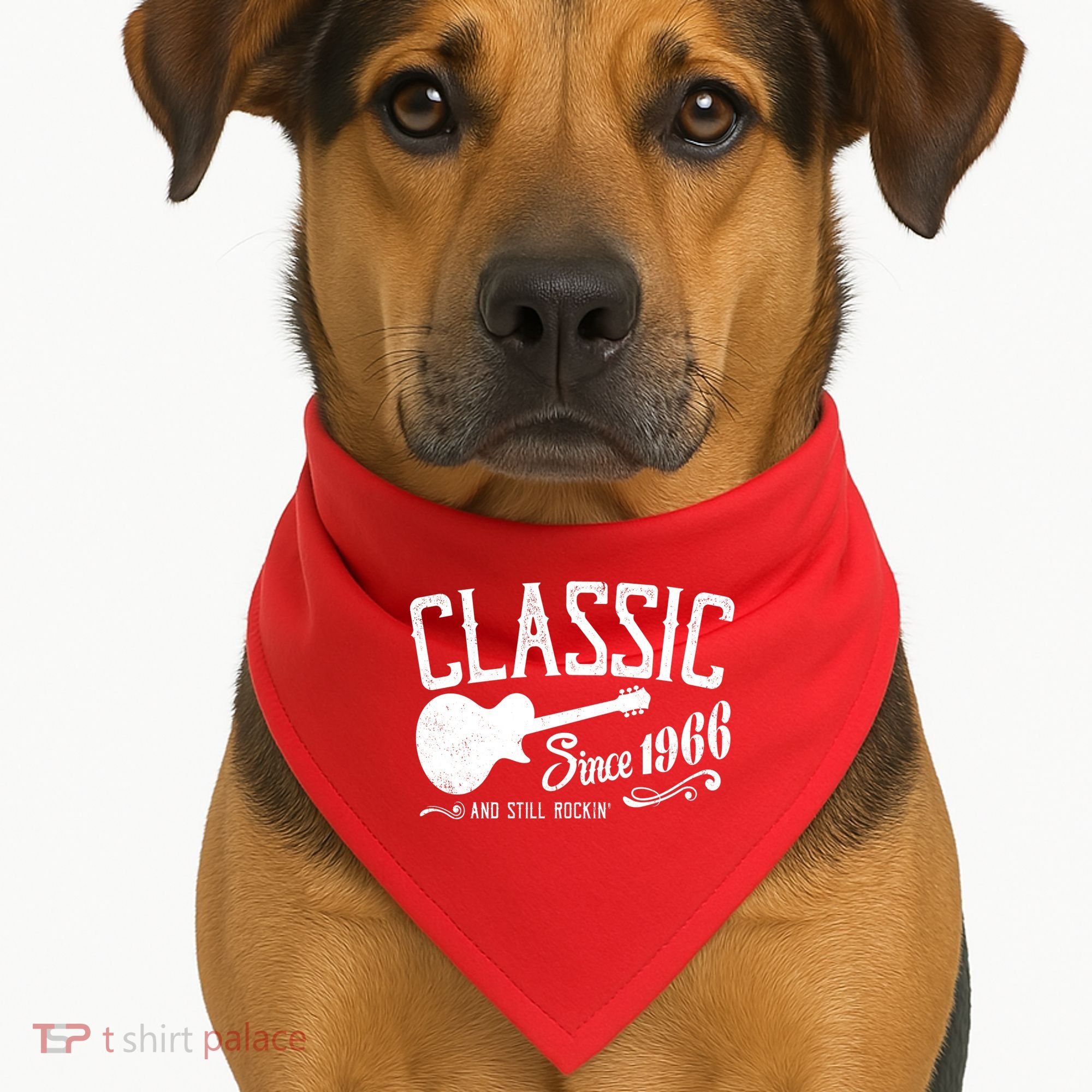 60th Birthday Classic Guitar Since 1966 And Still Rockin USA-Made Doggie Bandana