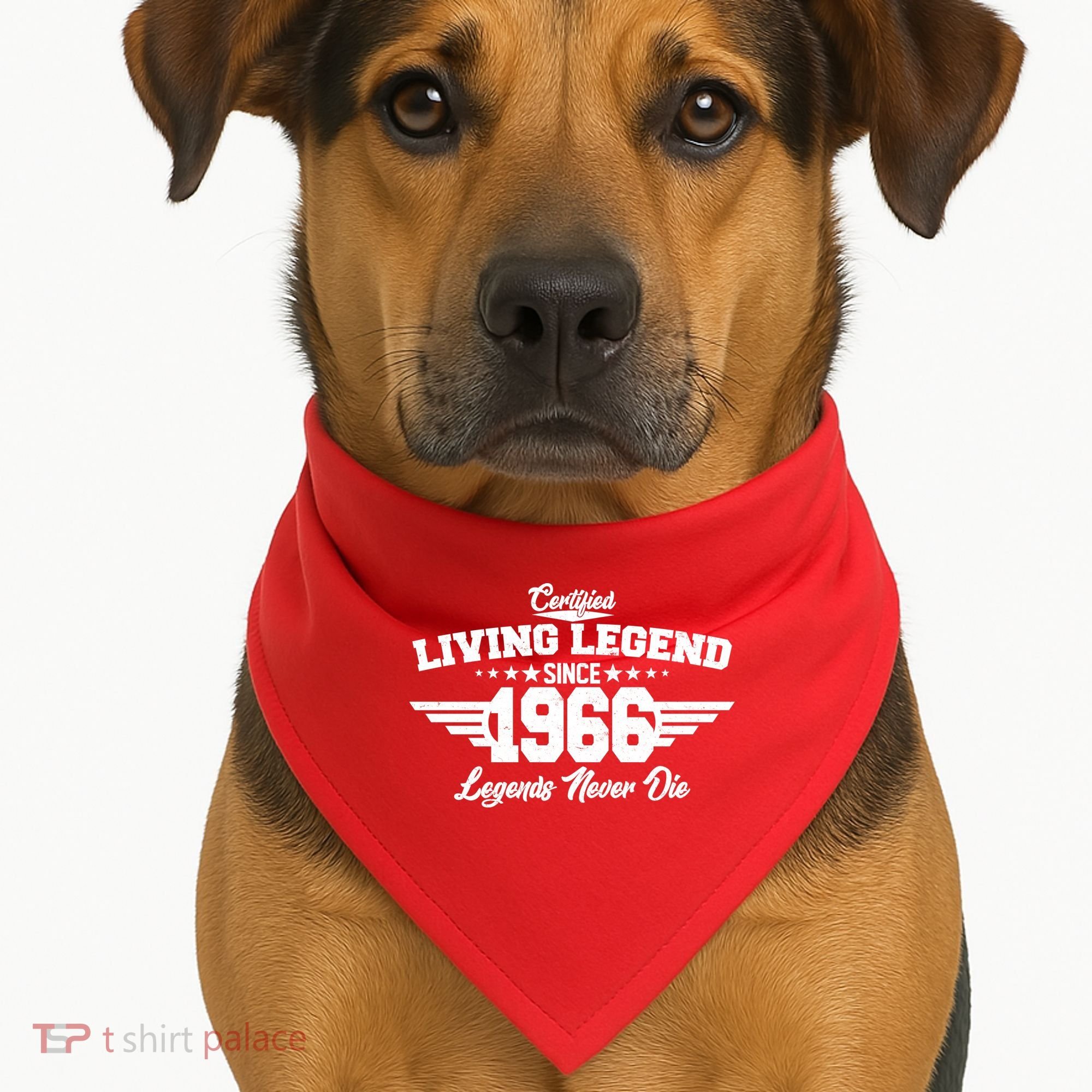60th Birthday Certified Living Legend Since 1966 Legends Never Die USA-Made Doggie Bandana