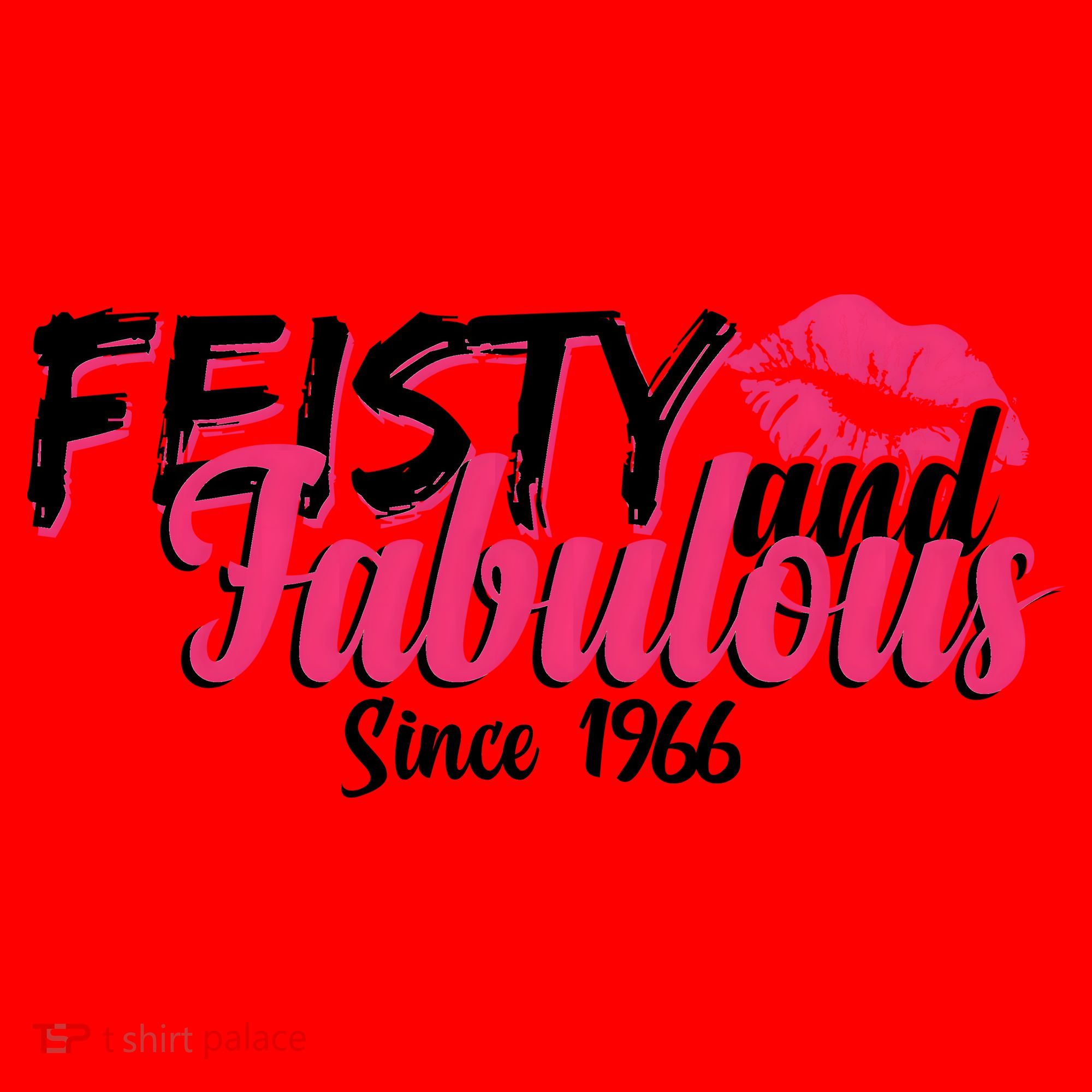 60th Birthday Feisty And Fabulous Since 1966  Santa Hat