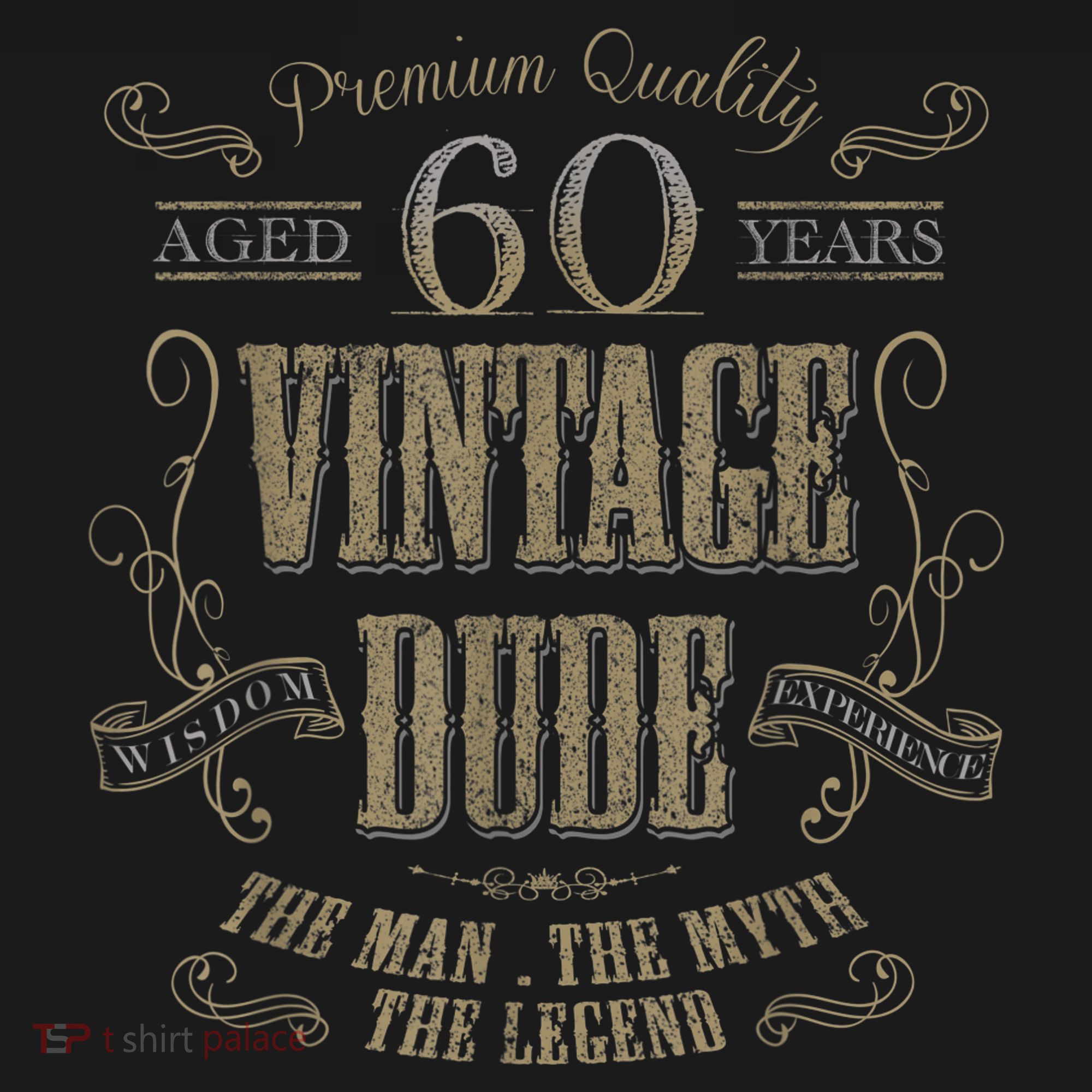 60th birthday gift idea for Vintage Lover 60 years old Dude T-Shirt