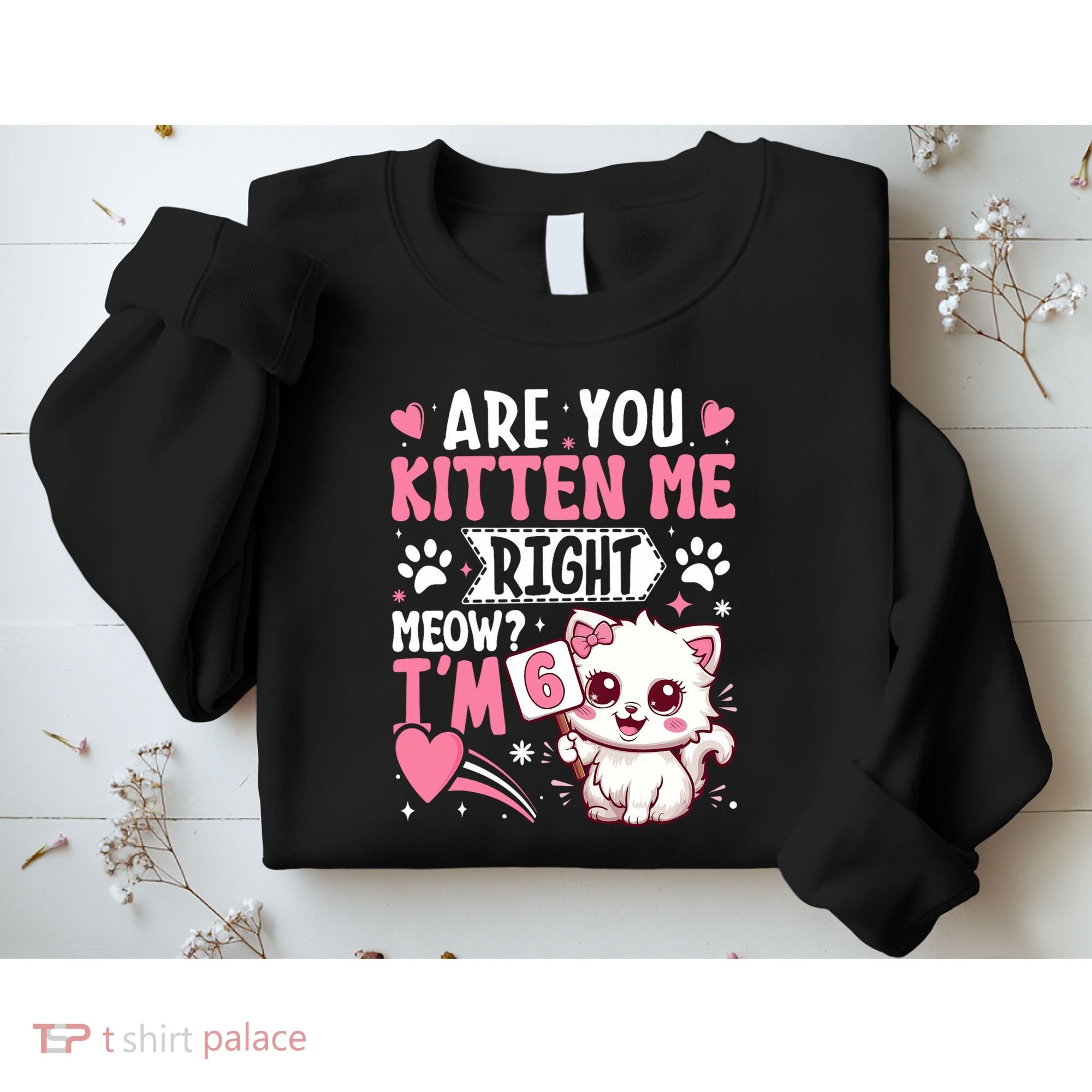 6th Birthday Girl 6 Year Old Kitten Cat Happy Bday Sweatshirt