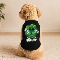 67 Bruh St. Patrick's Day Funny 6-7 Meme Six Seven Doggie Tank thumb 2