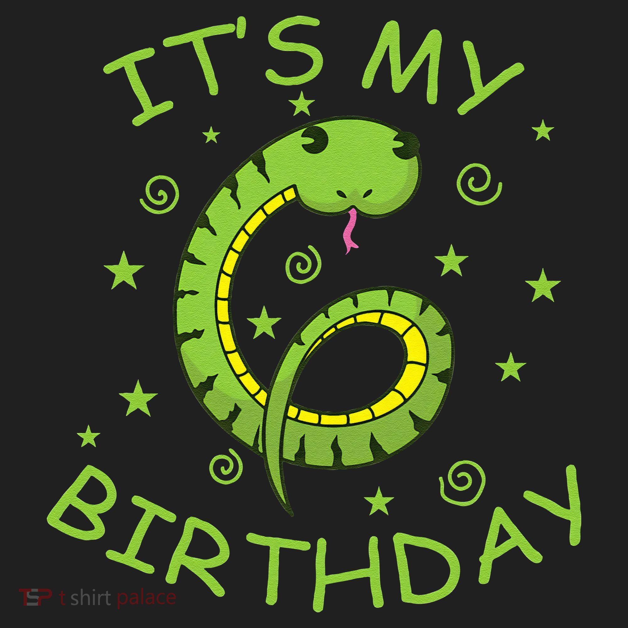 6th Birthday Snake As Number Child Hat