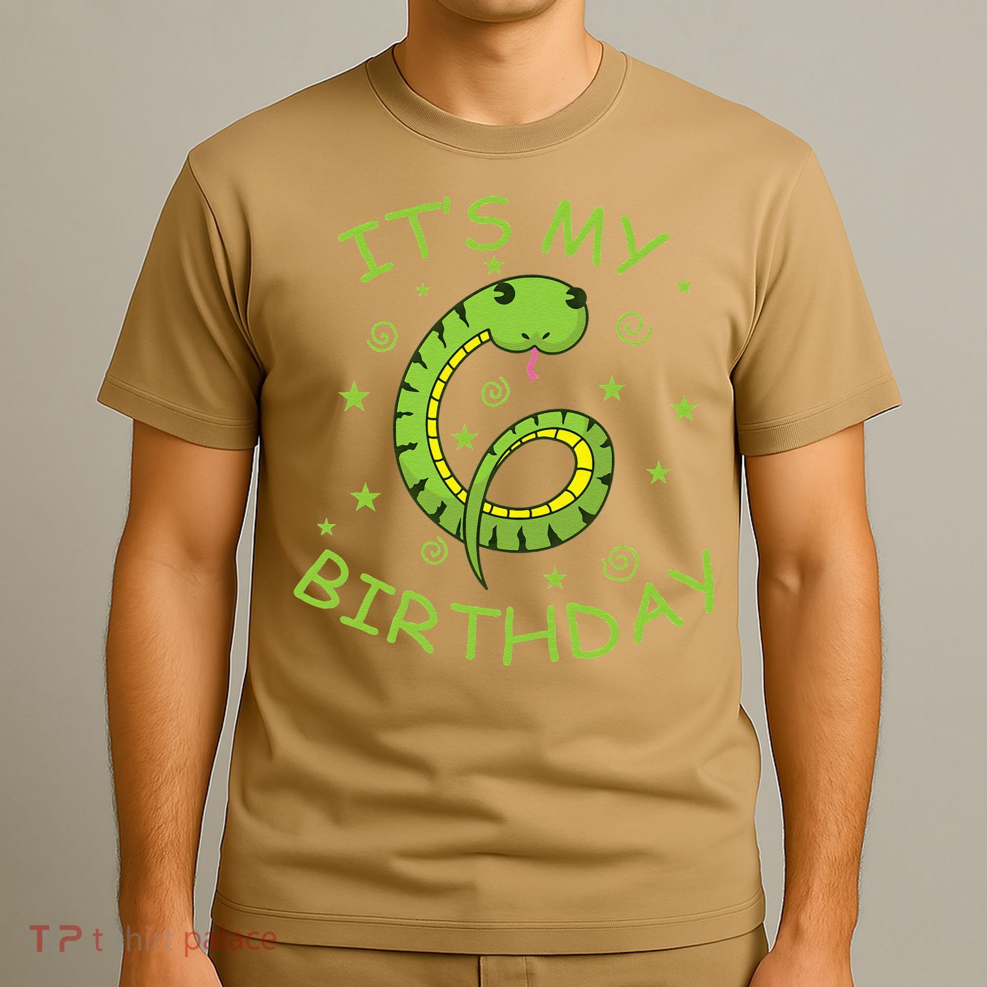 6th Birthday Snake As Number Child T-Shirt
