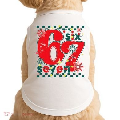 67 Christmas 6-7 Doggie Tank