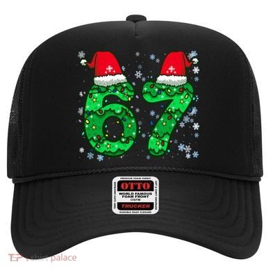 67 Christmas  Hat