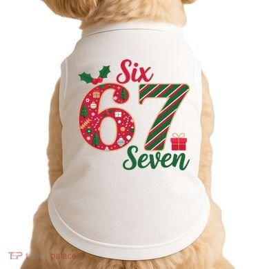 67 Christmas Festive 6-7 Six Seven Meme Doggie Tank