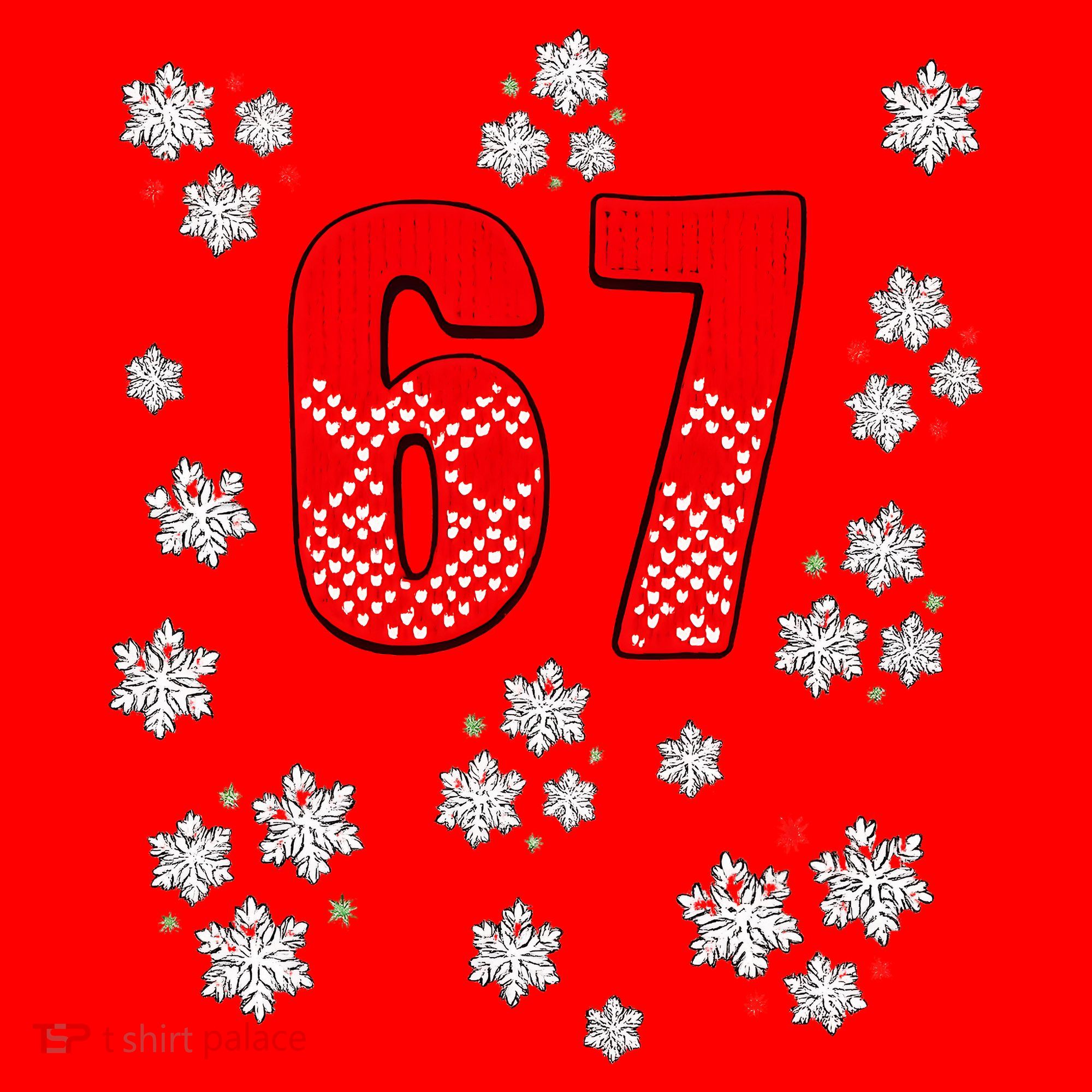 67 Christmas Snowflake Ugly Sweater 6-7 Meme Santa Hat