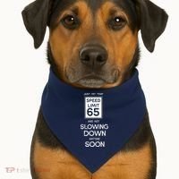 65th Funny Birthday USA-Made Doggie Bandana thumb 1