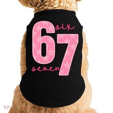 67 Funny Meme 6-7 Pink Script Doggie Tank