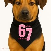67 Funny Meme 6-7 Pink Script USA-Made Doggie Bandana thumb 1
