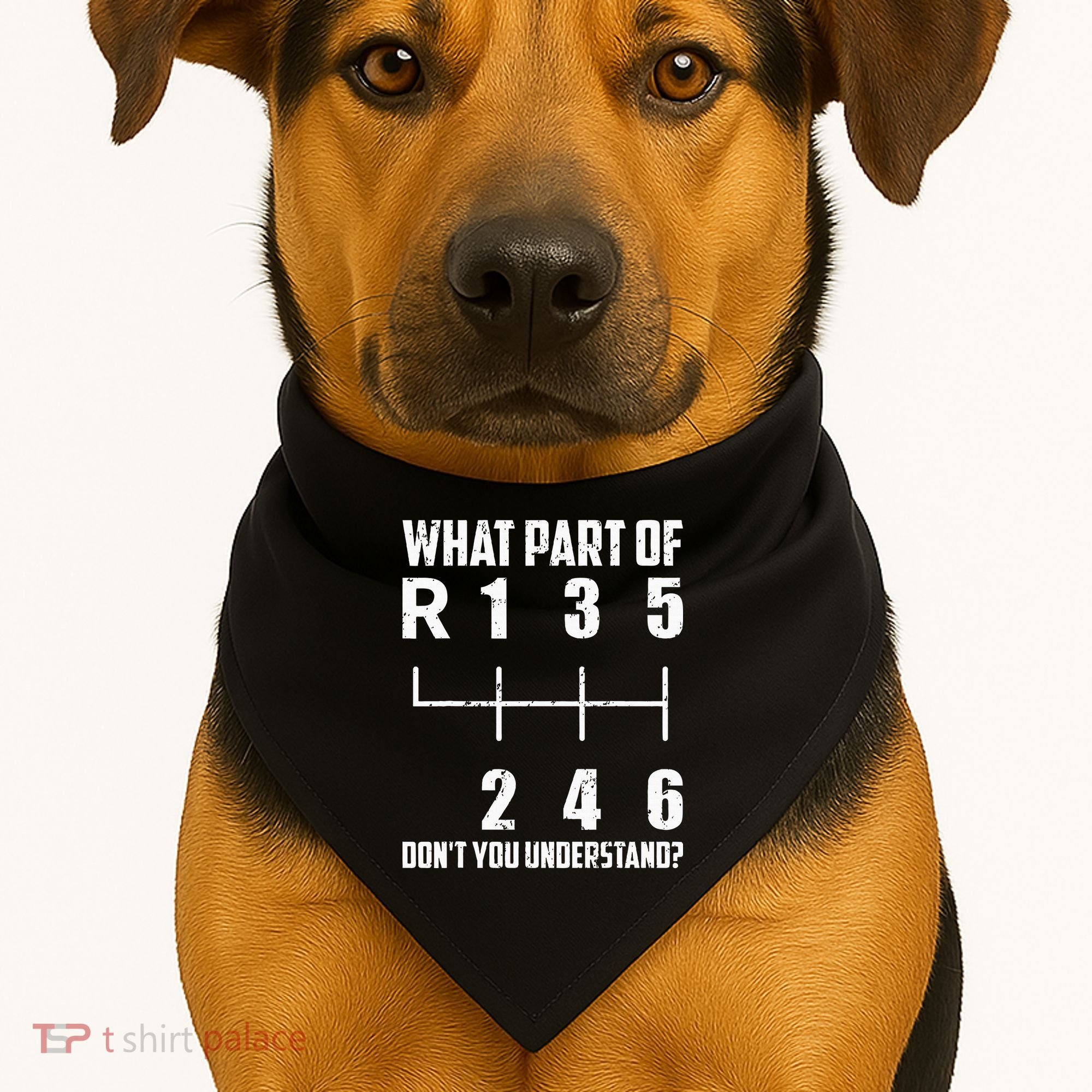 6 Gear Shift Manual Car What Part Of DonT You Understand USA-Made Doggie Bandana