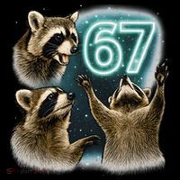 67 Meme Racoon Howling At The Moon 6-7 Women's Tank Top thumb 5