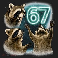 67 Meme Racoon Howling At The Moon 6-7 Hat thumb 2