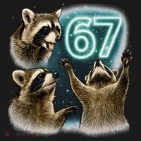 67 Meme Racoon Howling At The Moon 6-7 Toddler Hoodie thumb 2