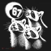 67 Meme Racoon Howling At The Moon 6-7 Sweatshirt thumb 3