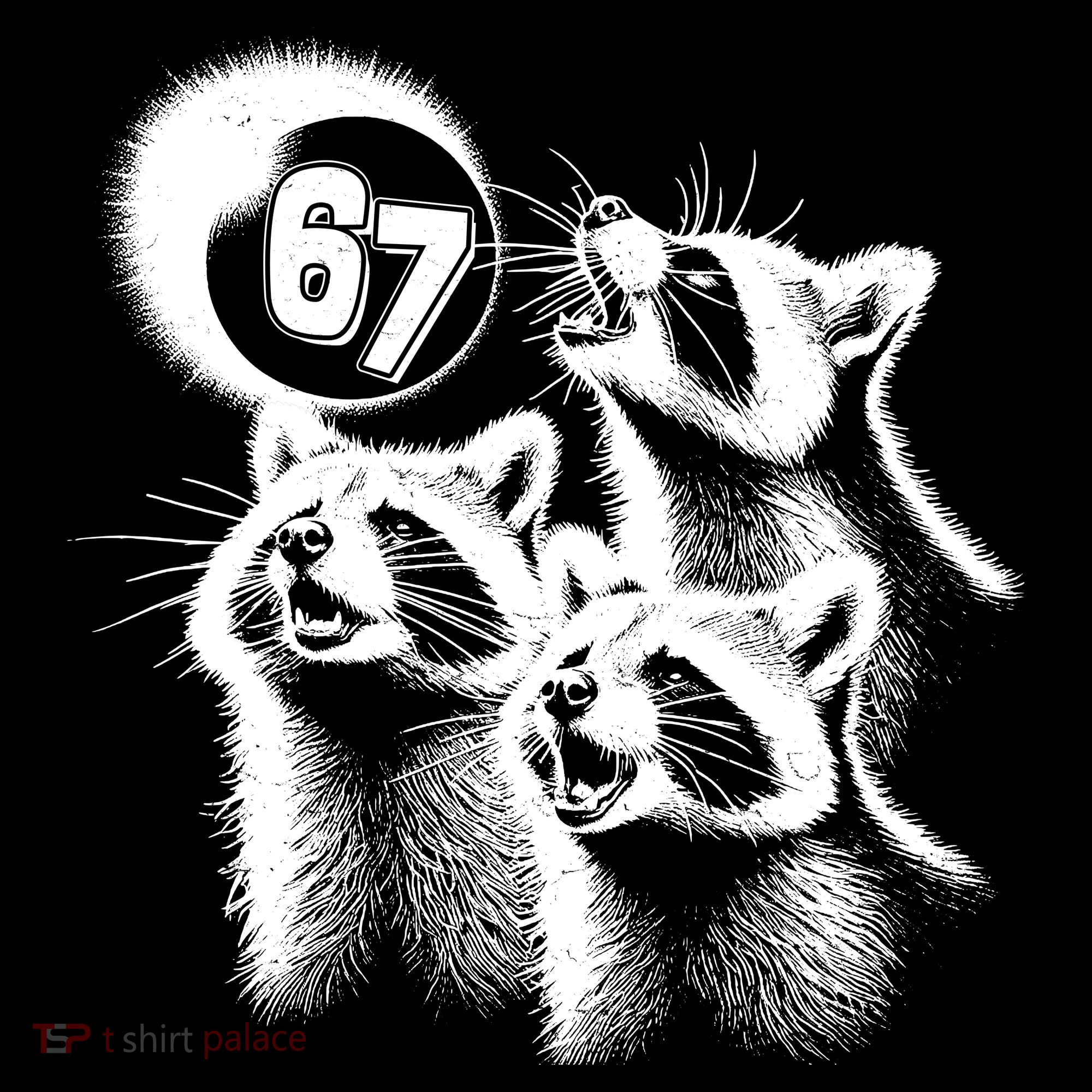 67 Meme Racoon Howling At The Moon 6-7 Mousepad