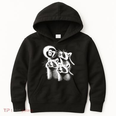 67 Meme Racoon Howling At The Moon 6-7 Kids Hoodie