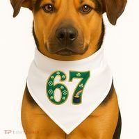 6-7 Meme St Patrick's Celtic 67 USA-Made Doggie Bandana thumb 1