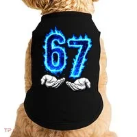 6-7 Meme Six Seven 67 Hands Meme Funny Doggie Tank thumb 0