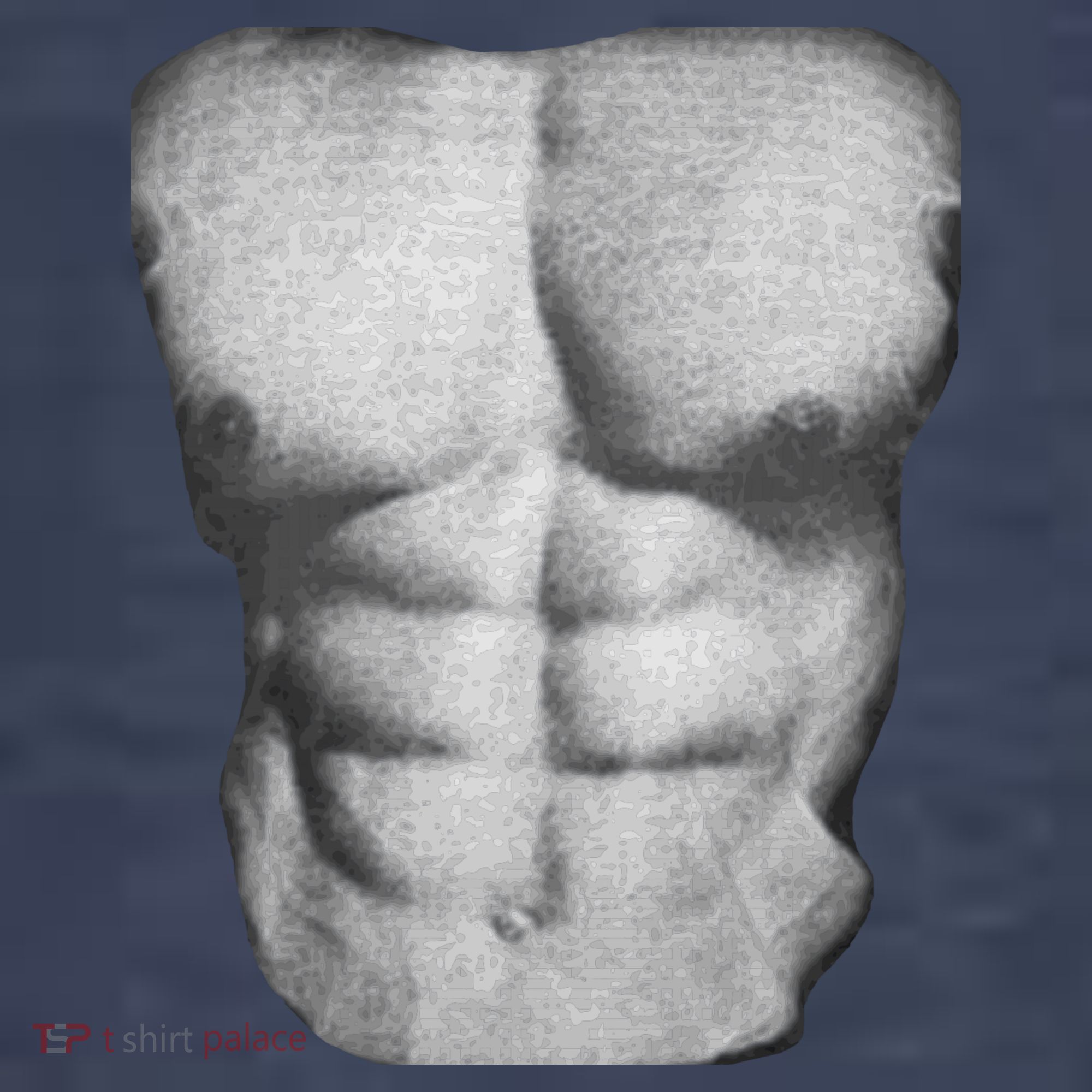 6 Pack Abs Sweatshirt