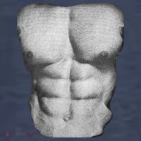 6 Pack Abs T-Shirt thumb 5