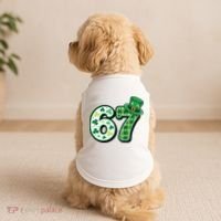 67 St Patrick's Day 6-7 Meme Funny Irish Doggie Tank thumb 2