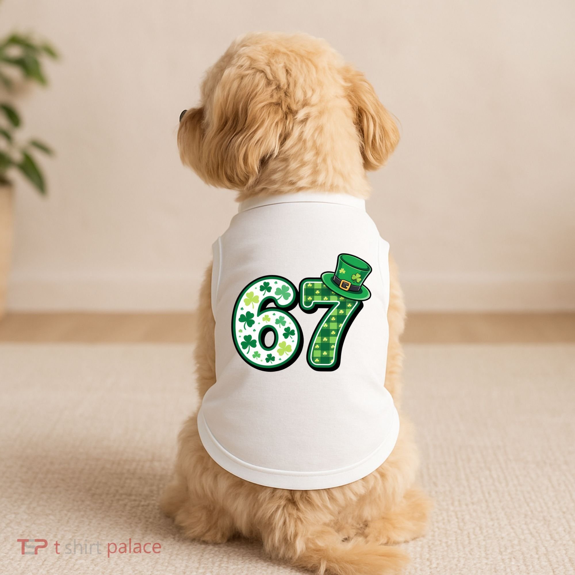 67 St Patrick's Day 6-7 Meme Funny Irish Doggie Tank