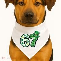 67 St Patrick's Day 6-7 Meme Funny Irish USA-Made Doggie Bandana thumb 1