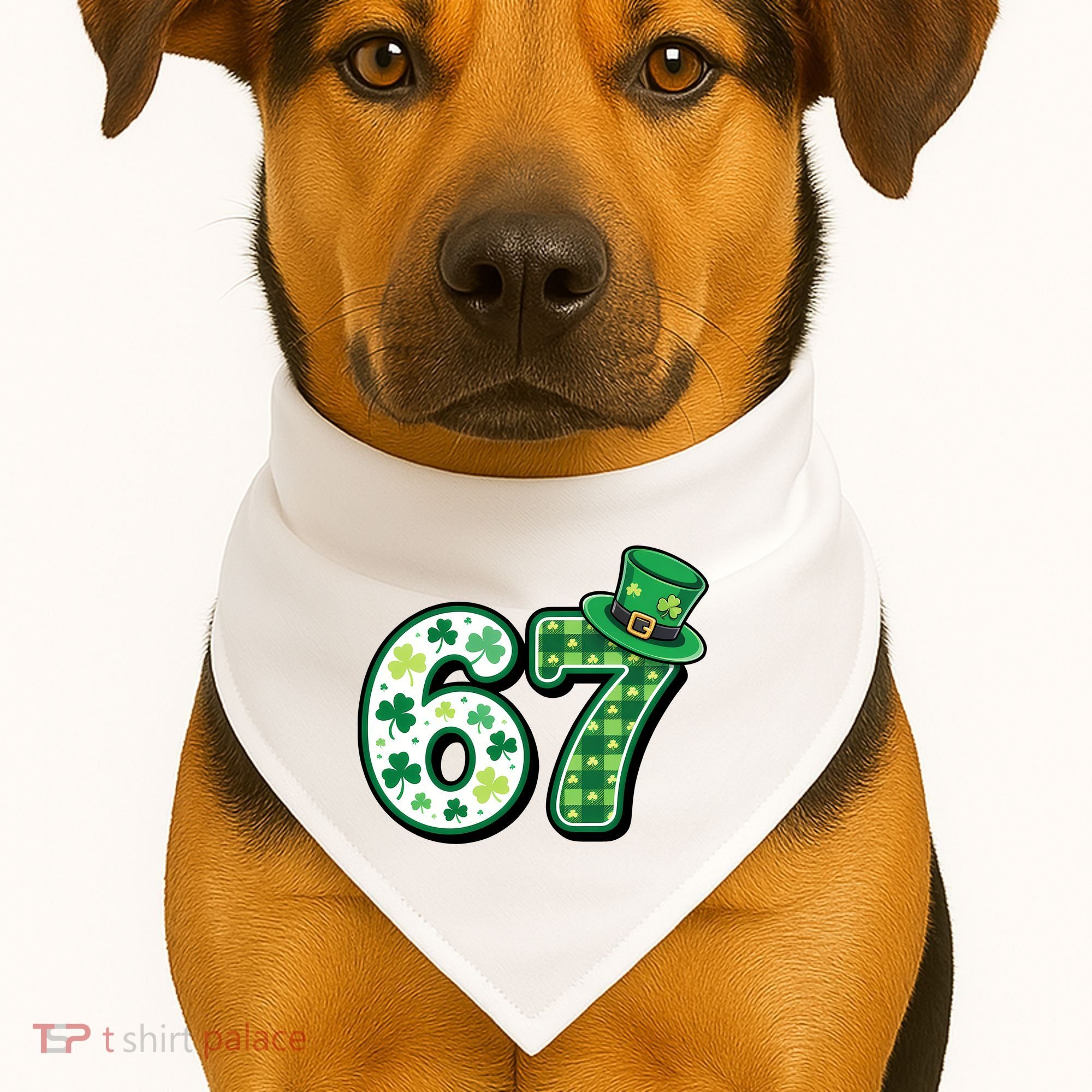 67 St Patrick's Day 6-7 Meme Funny Irish USA-Made Doggie Bandana