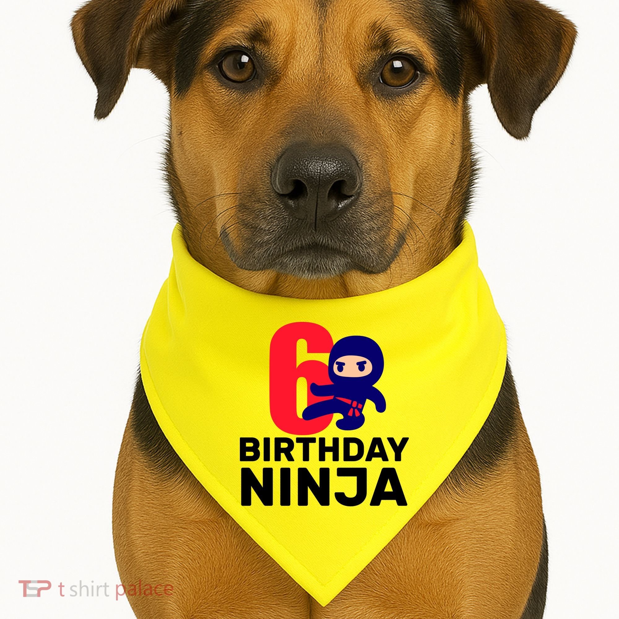6th Birthday Ninja  USA-Made Doggie Bandana