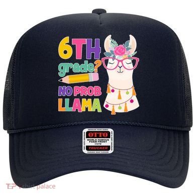 6th Grade? No Prob Llama Hat