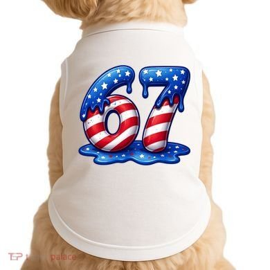 67 USA Flag Drip Patriotic 6-7 Meme Doggie Tank