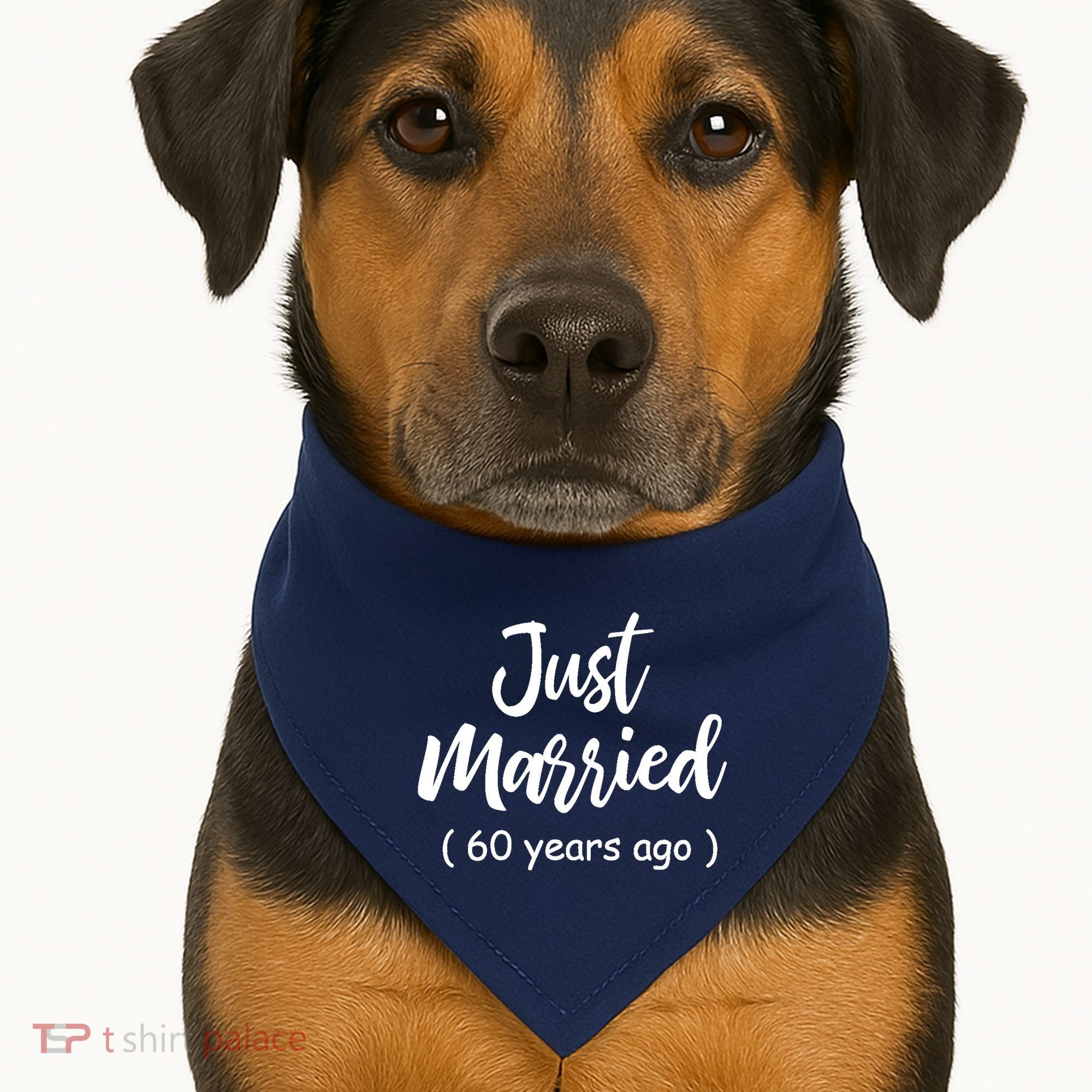 60th Wedding Anniversary Just Married 60 Years Ago USA-Made Doggie Bandana